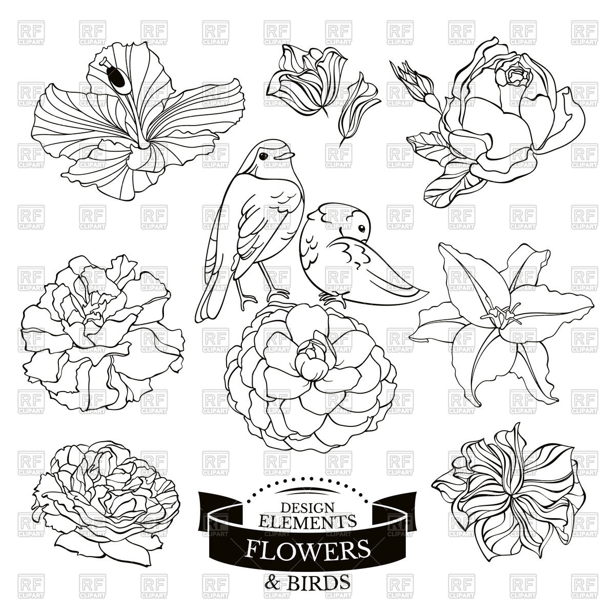 1200x1200 Outline Of Flowers And Birds Royalty Free Vector Clip Art Image