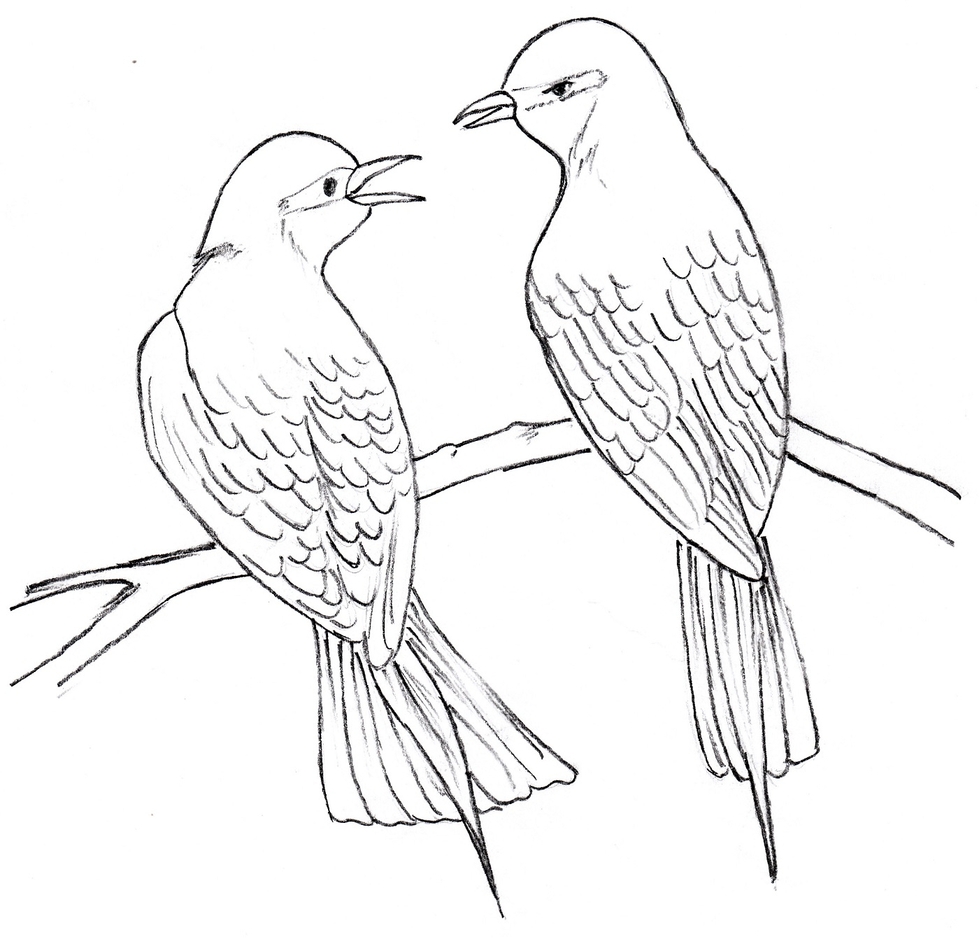 1400x1339 Drawing Of Two Birds