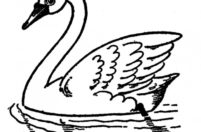 640x420 Tag For Birds Drawing For Kids How To Draw Birds For Kids Step 2