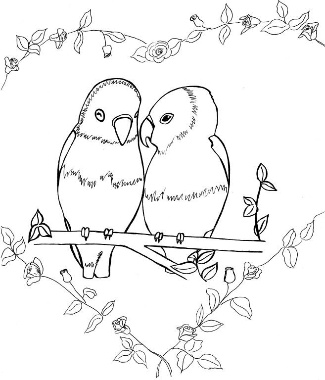 657x768 Bird Colouring Book (X2) Standingoutinmyfield