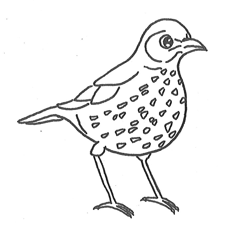 872x886 Colouring In Pictures Discover And Learn Manaaki Whenua