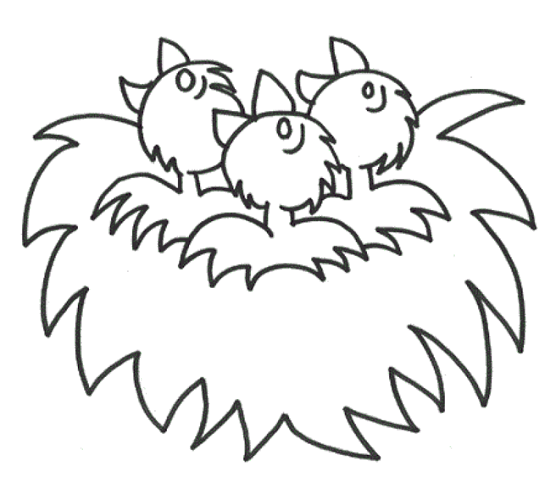 800x686 Coloring Pages Birds Nest