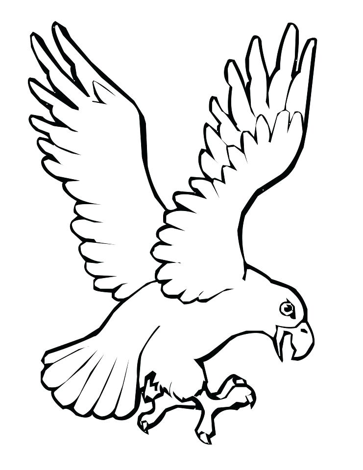 741x960 Coloring Pages For Kids Birds Bird Outline Drawing Library Free