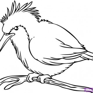 320x320 Tag For How To Draw A Bird Goose Draw A Heron. How To Bird By