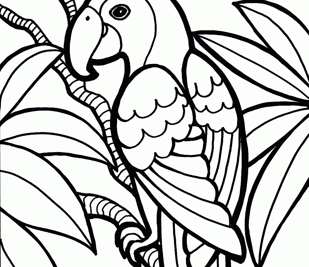 1000x864 Bird Coloring Pages To Print Printable Page Of Birds Free Animals