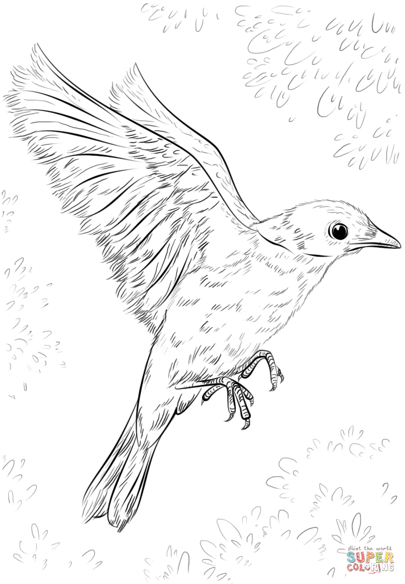 824x1186 Blue Bird Flying Coloring Page Free Printable Coloring Pages