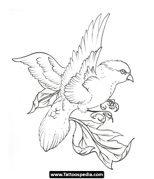 540x627 Collection Of Birds And Tree In Hour Glass Tattoo