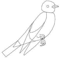 250x224 How To Draw Birds Drawing Tutorials Amp Drawing Amp How To Draw