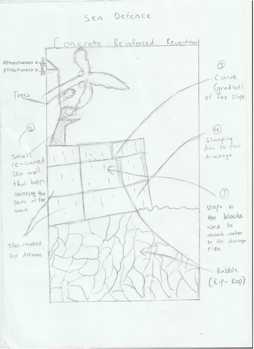 510x701 Field Sketches