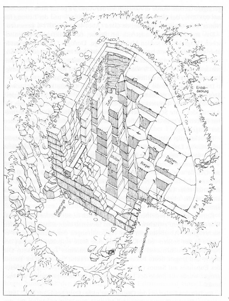 800x1052 Samospxx.jpg