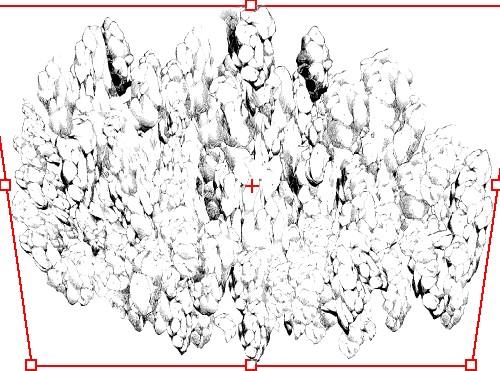 500x371 Another Point Of View. The Drawing Of Bird's Eye View Cliff