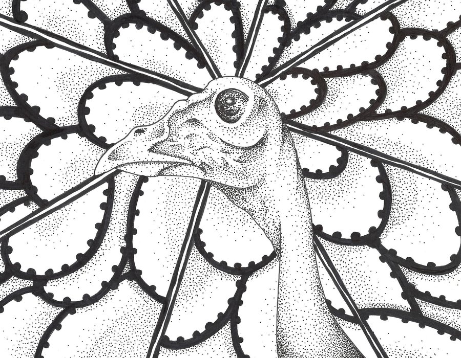 900x700 Bird's Eye View By Thepossessedpuppet