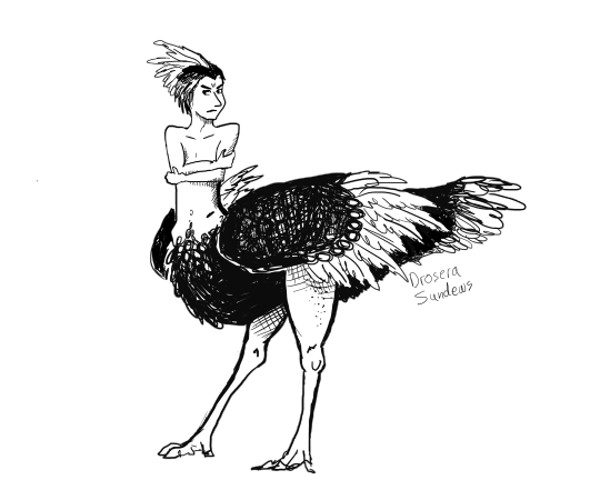 540x432 Bird Centaur Tumblr