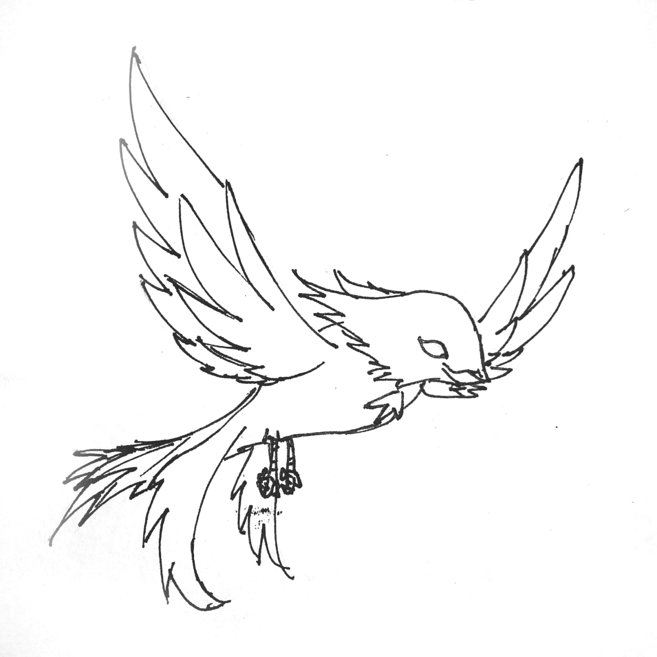 1280x1280 Arcana Region