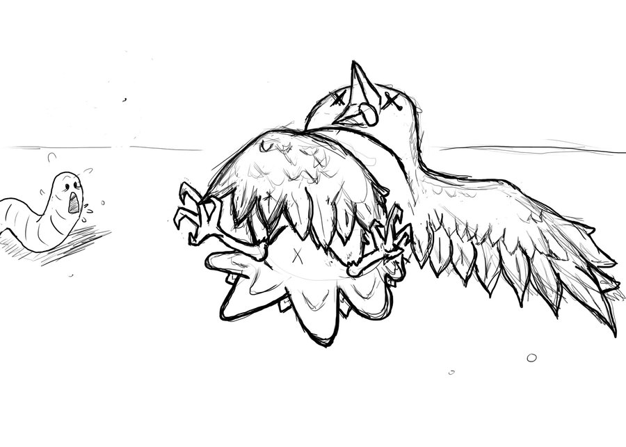 900x643 Dead Bird By Treehugger28