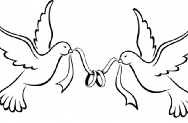 640x420 Love Bird Drawing Simple Birds Wedding Bands Image