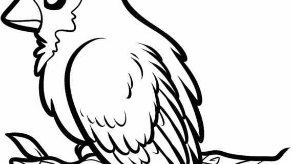 570x320 Pictures Of Birds For Drawing Drawings Of Love Birds How To Draw