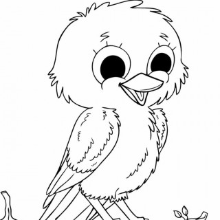 320x320 Tag For Cute Love Birds Drawings Cute Bird Drawing Butterfly