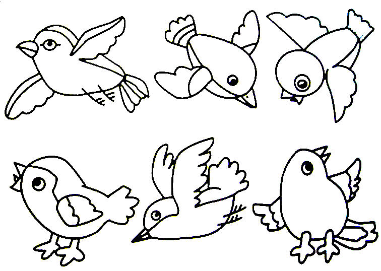 756x538 Coloring Pages Of Birds Printable Coloring Pages For Kids