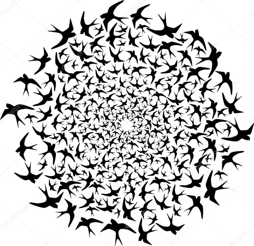 1023x989 Flock Of Birds Flying In Circle Stock Vector Socris79