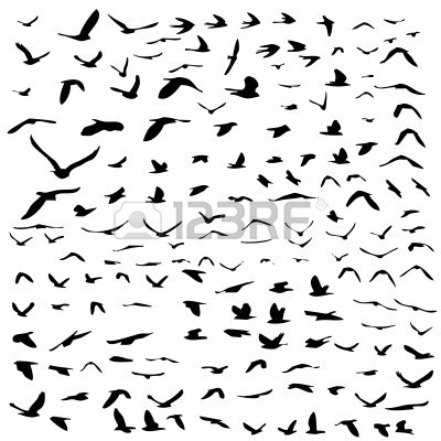 400x400 Lot Of Birds Flying, Silhouette Style Illustration Photo