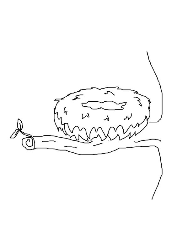 564x729 Cartoon Birds Nest