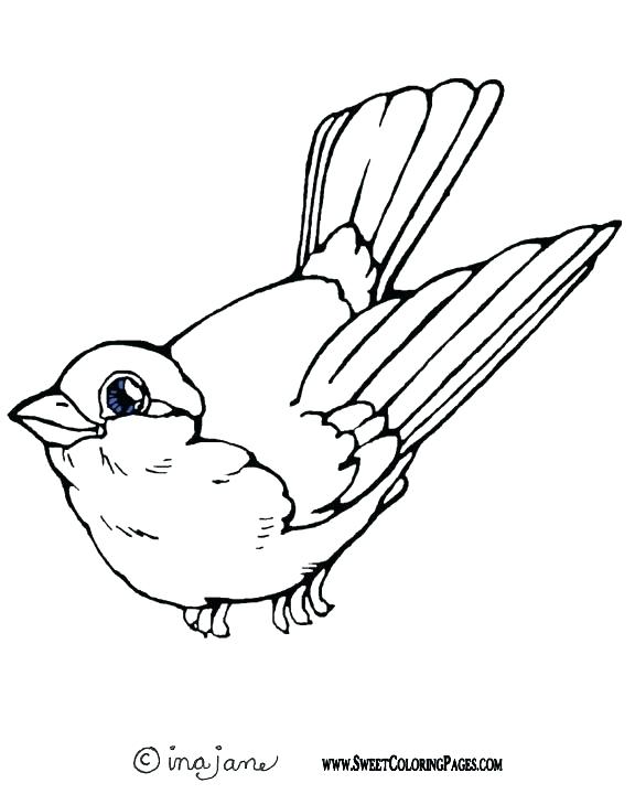 576x720 Coloring Pages Of Birds Inspiring Coloring Pages Birds Cool