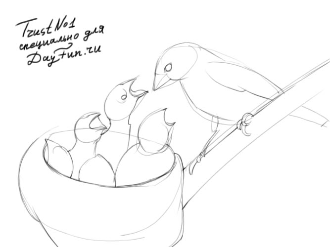 667x500 How To Draw Nest Step By Step