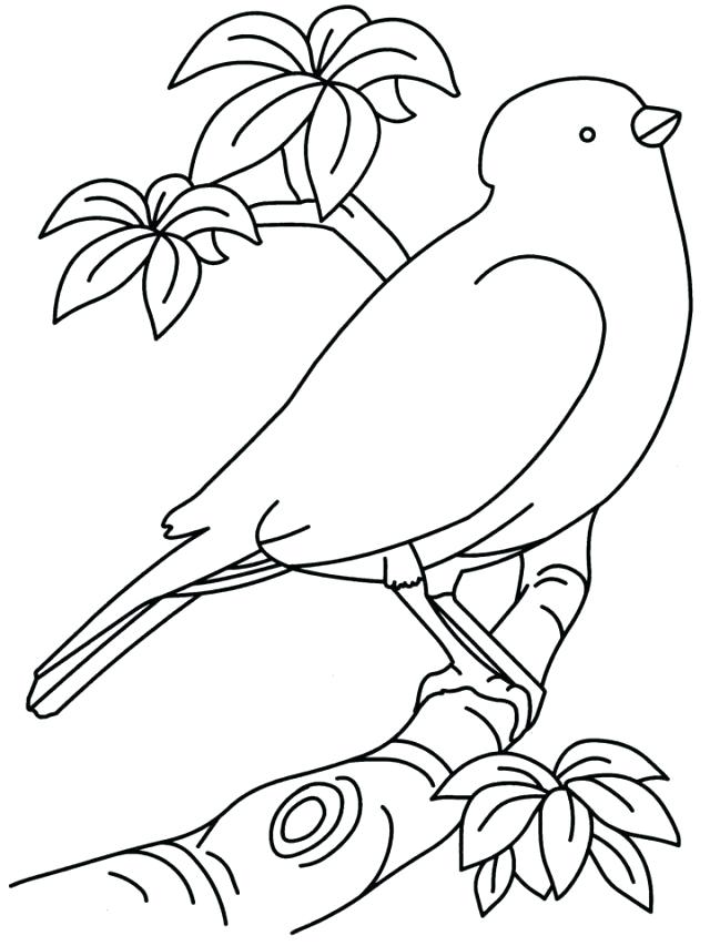 640x853 Inspirational Coloring Pages Of Birds Or Birds Coloring Pages