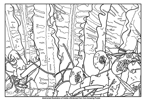 500x353 Wild And Whacky Abstract Illustration For Colouring! Birds Nest