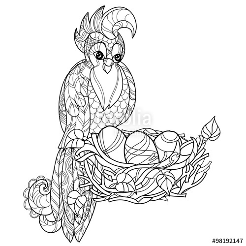500x500 Zentangle Stylized Parrot On Nest. Hand Drawn Vector Illustration