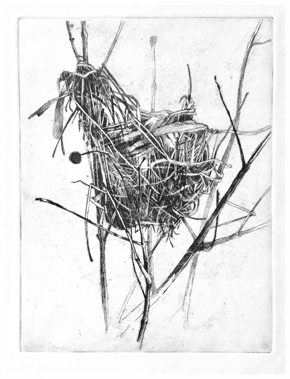 1000x1306 Prints And Drawings Salmonkill Studio