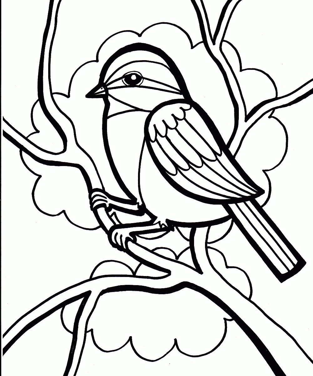 1000x1200 Little Bird Color Pages Cute Coloring Free Printable Page Of Birds