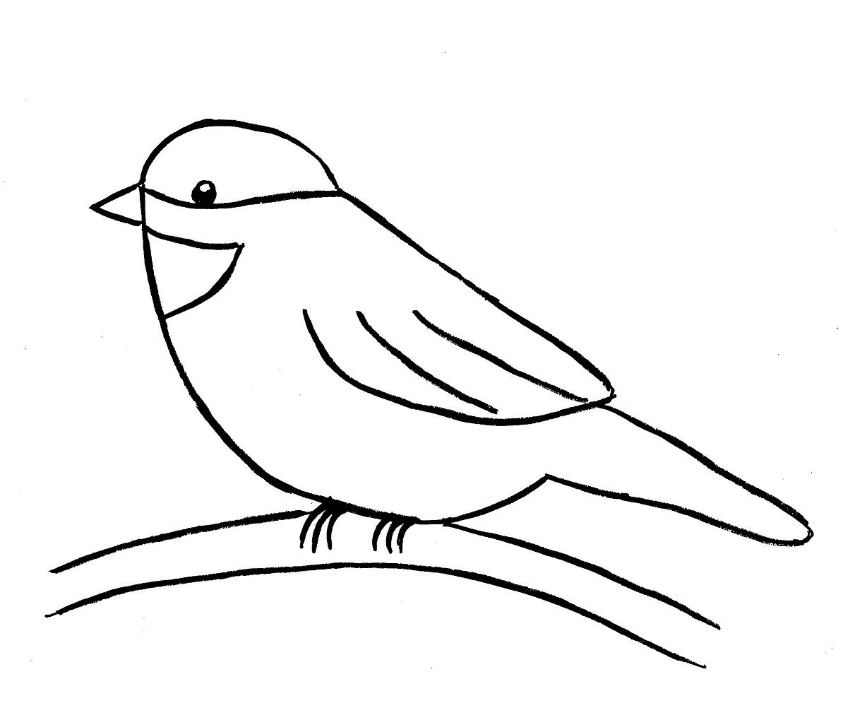 1211x1002 Pictures Drawings Of A Birds Easy,