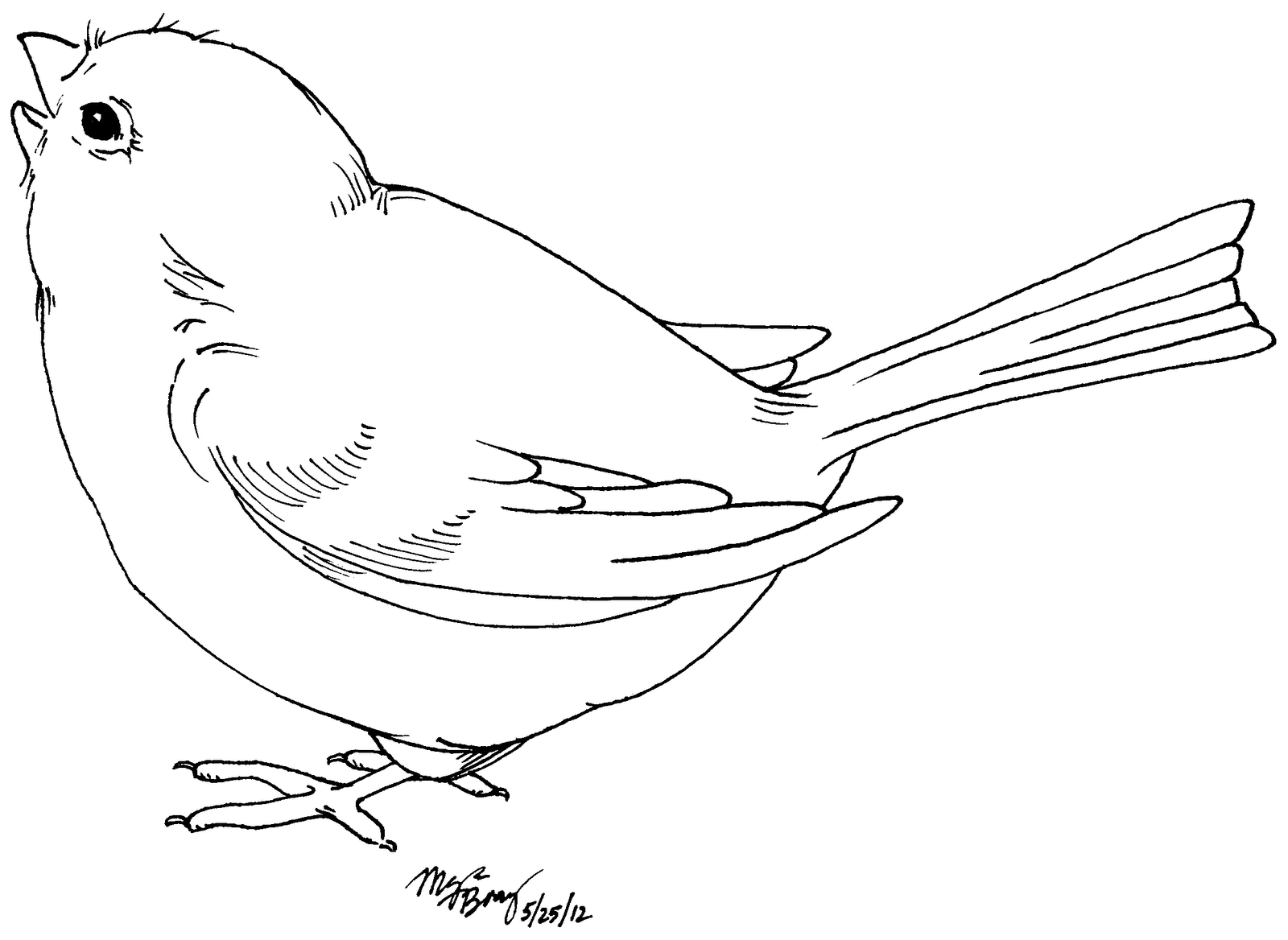 1600x1168 Bird Drawing Clipart