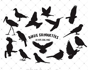 340x270 Bird Silhouette Etsy