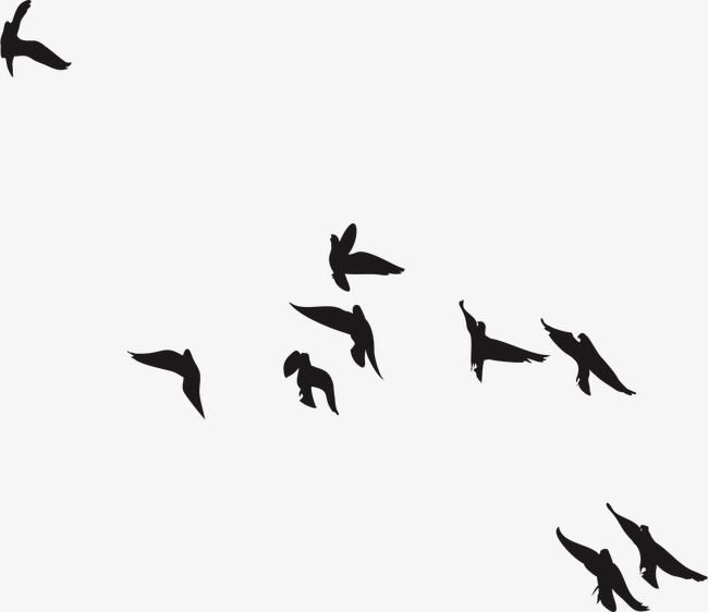 650x562 Birds Silhouette, Vector, Hand Painted, Ai Png And Vector For Free