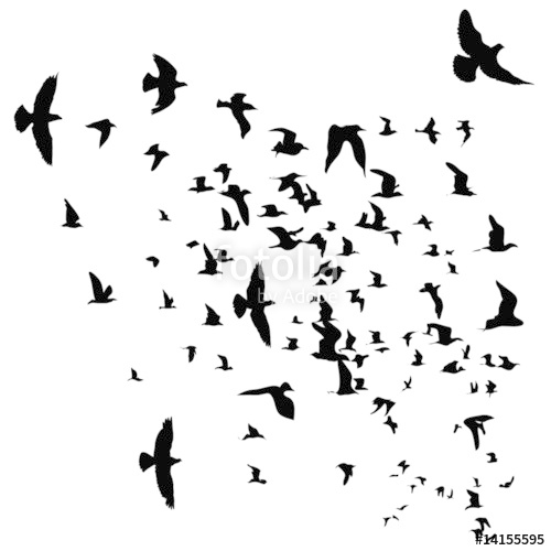500x500 Flying Birds Silhouette Stock Image And Royalty Free Vector Files