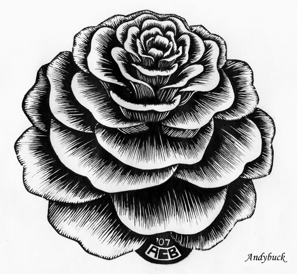 603x557 Eschers Flower By Andybuck