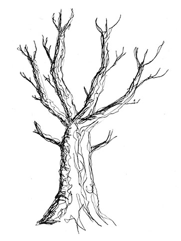 363x483 Winter Tree + Hiatus Creativeliz