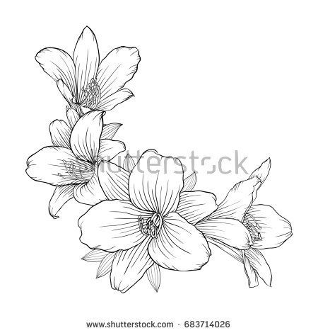 450x470 Beautiful Monochrome Black And White Bouquet Lily Isolated