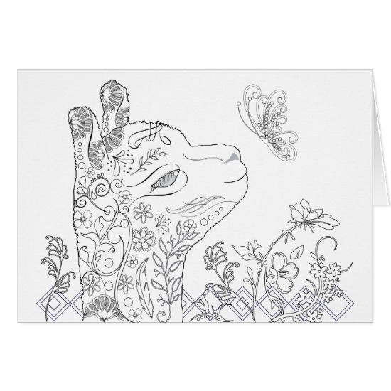 550x550 Alpaca Birthday Cards And Horse Birthday Cards