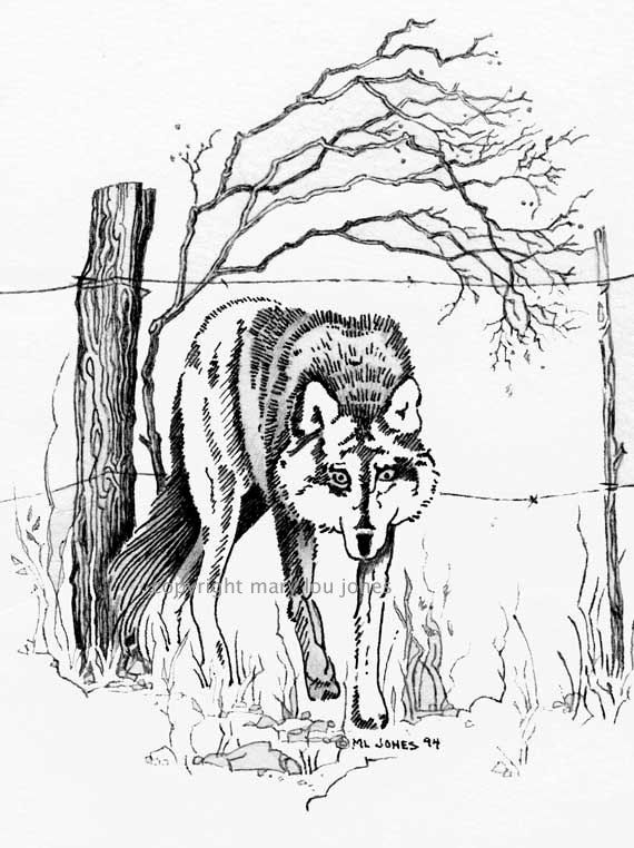 570x762 Wolf, Mens Birthday Gift, Office Print, Thank You Gift, 5 X 7 Pen