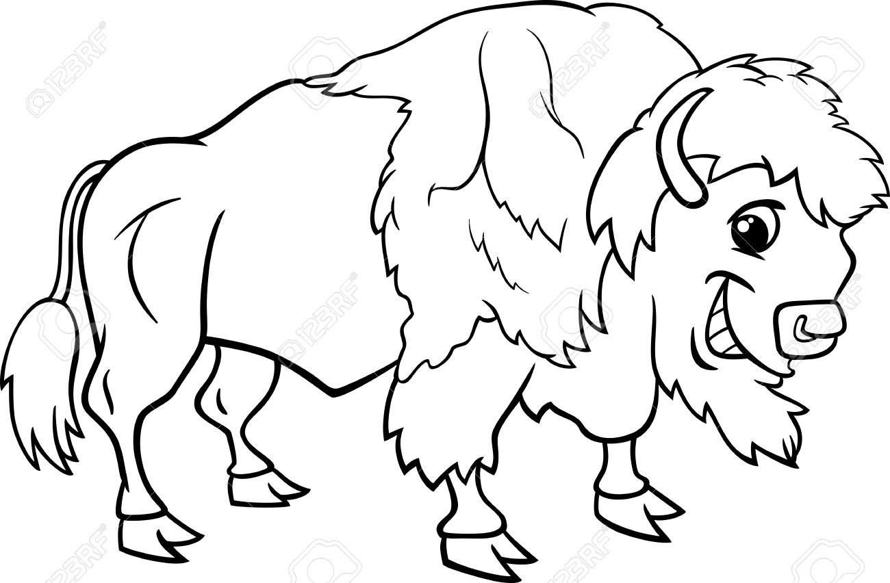 1300x852 Black And White Cartoon Illustration Of Funny Bison Or American