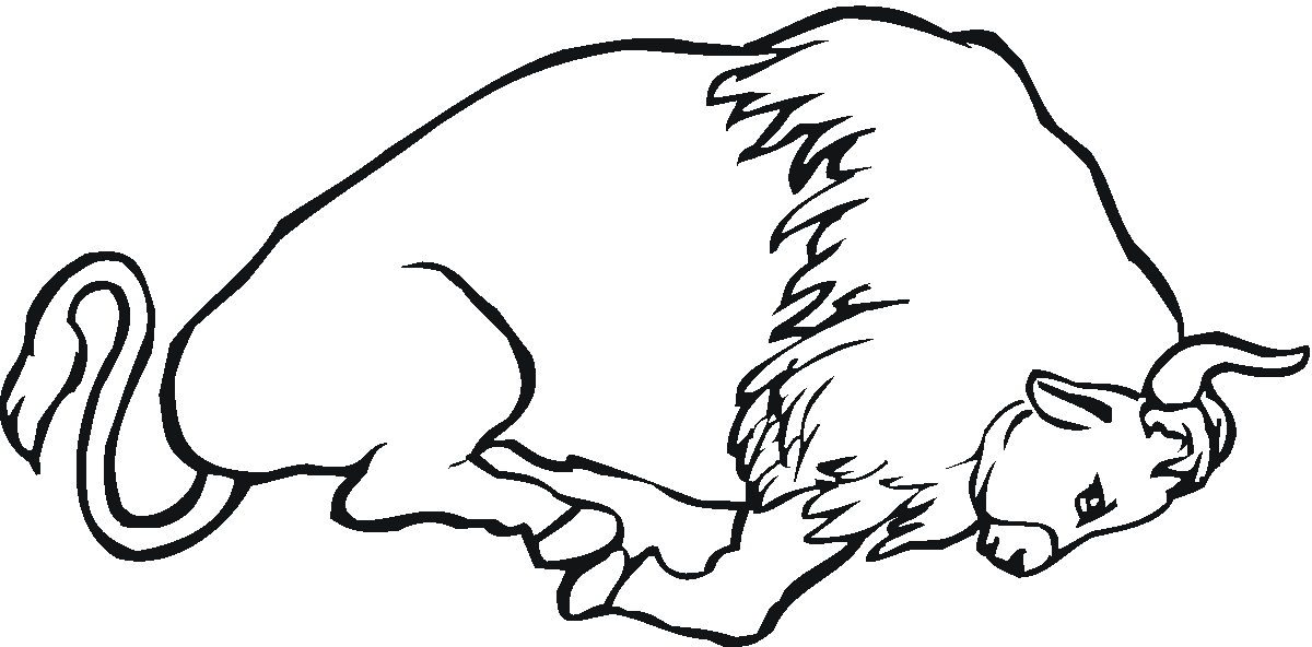 1200x592 Free Buffalo And Bison Coloring Pages