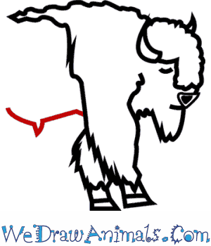 300x350 How To Draw An American Bison
