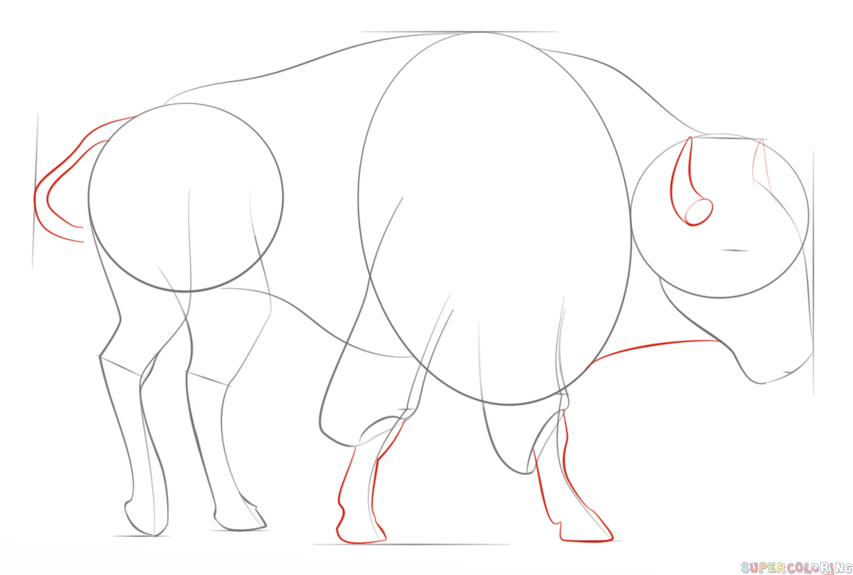 853x575 How To Draw A Realistic Bison Step By Step Drawing Tutorials