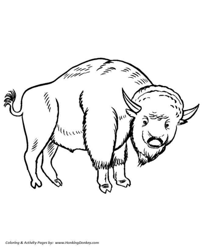 670x820 Wild Animal Coloring Pages Drawing Of Large Bison Coloring Page