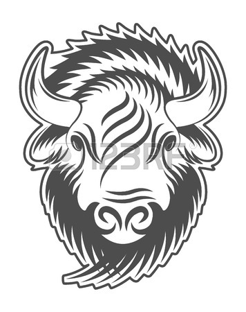 Bison Head Drawing at GetDrawings | Free download