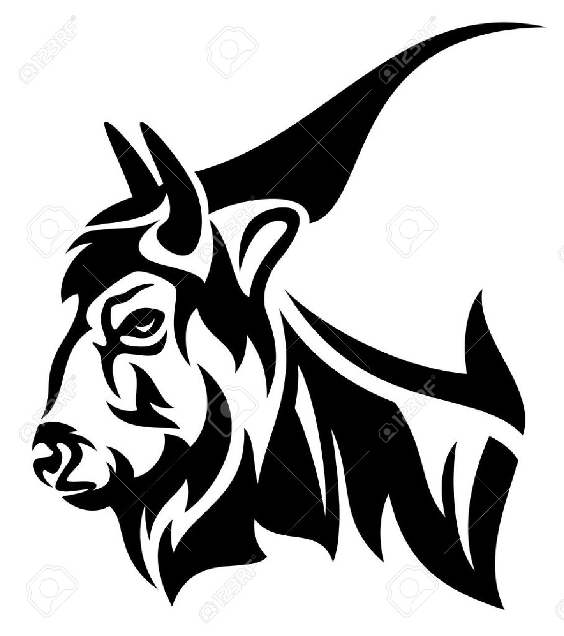 1152x1300 Bison Head Stock Photos. Royalty Free Business Images